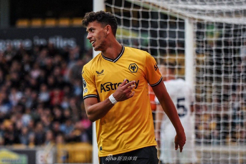 将成为决定 将成为决定